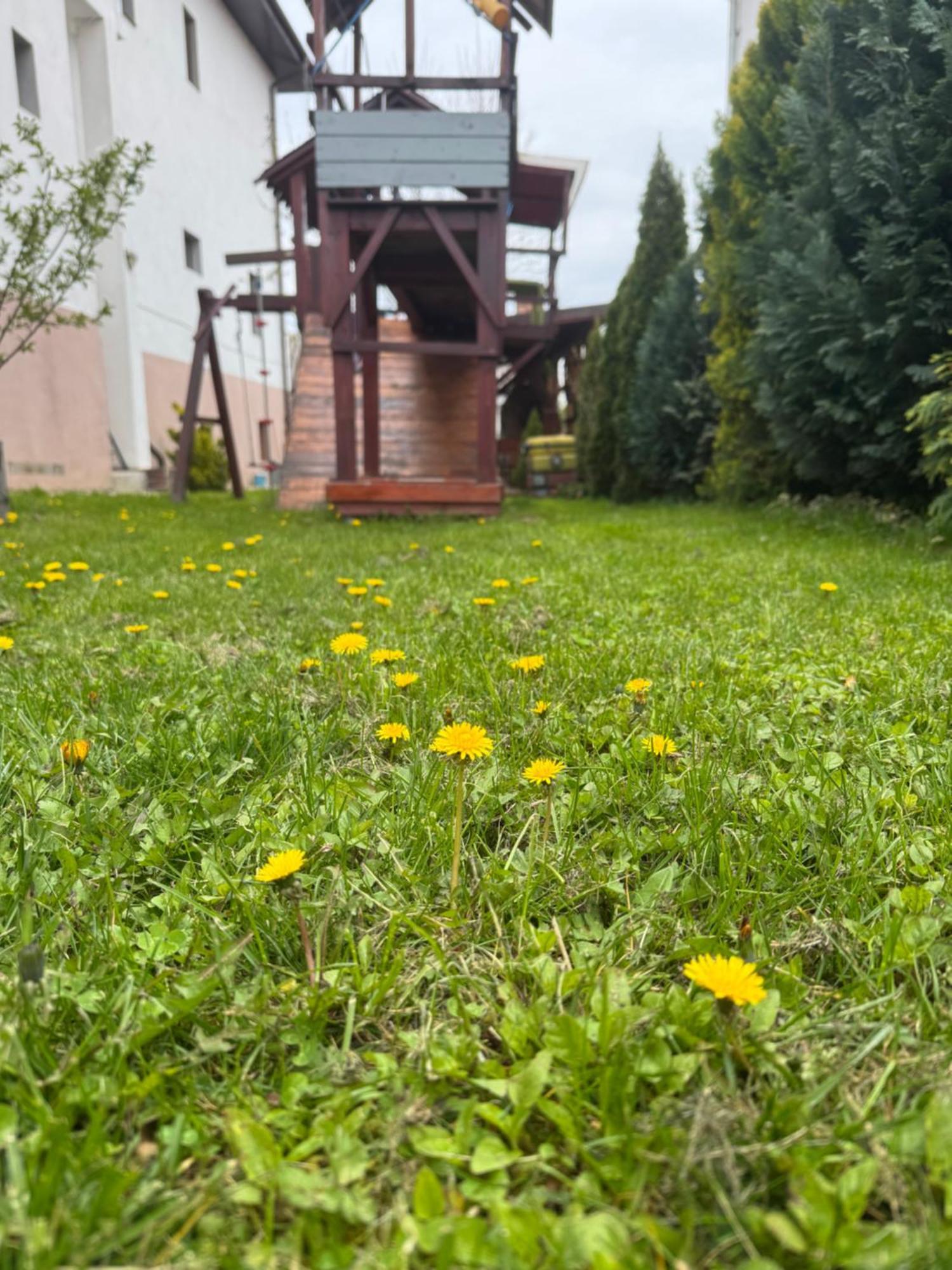 Pensiunea Casa Rica Călimăneşti Exterior foto